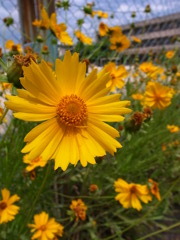一日一生