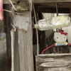 島の生活　＃13 