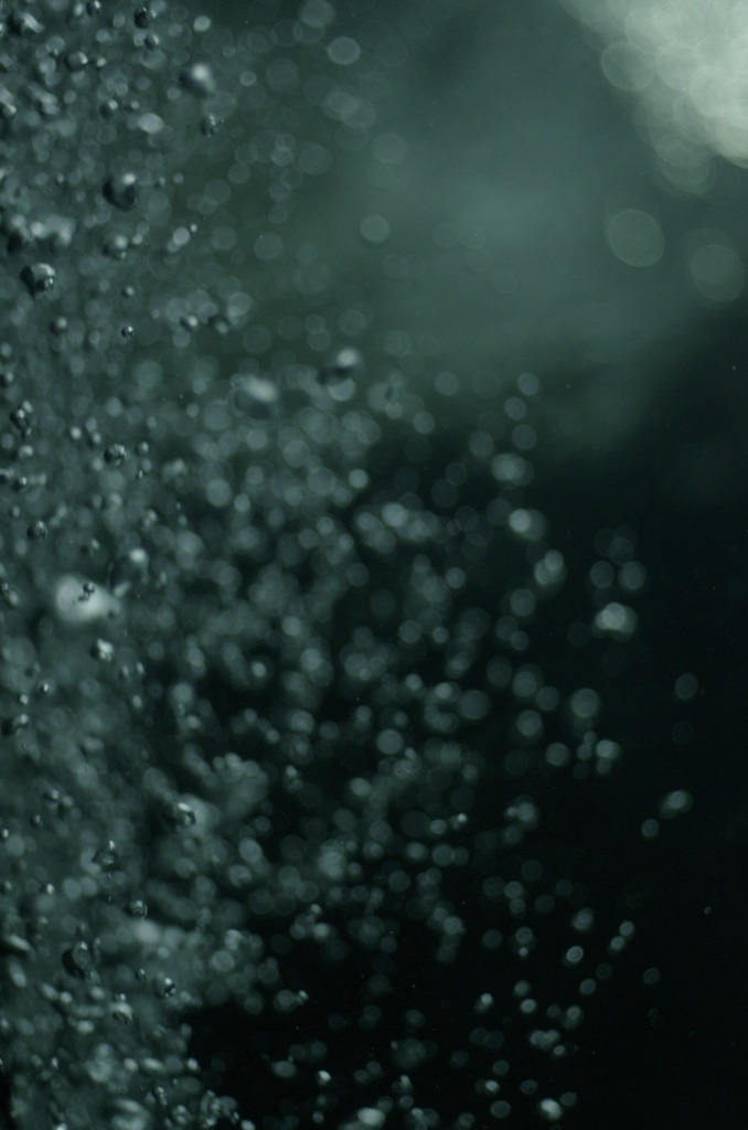 Our World～小さな命～