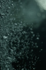 Our World～小さな命～