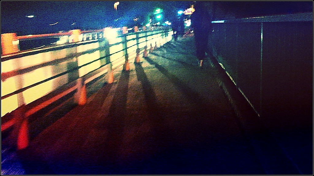 夜光虫　＃１４