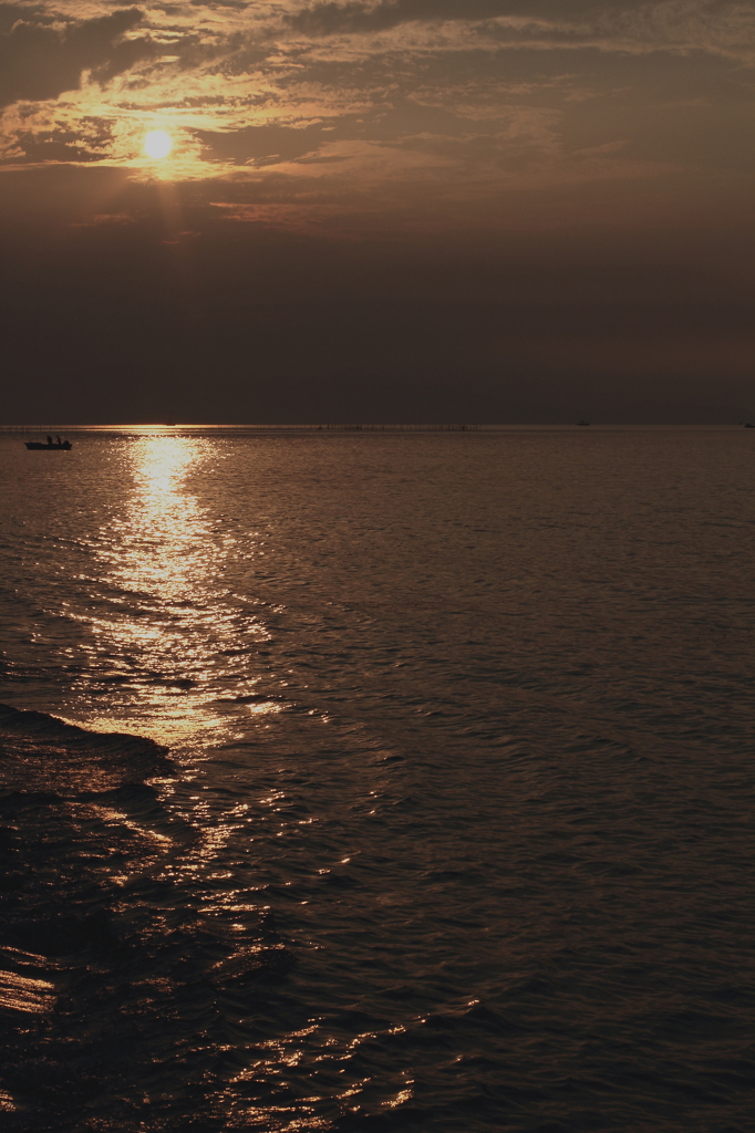 朝日を浴びて