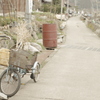 島の生活　＃17