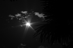 かじられた太陽