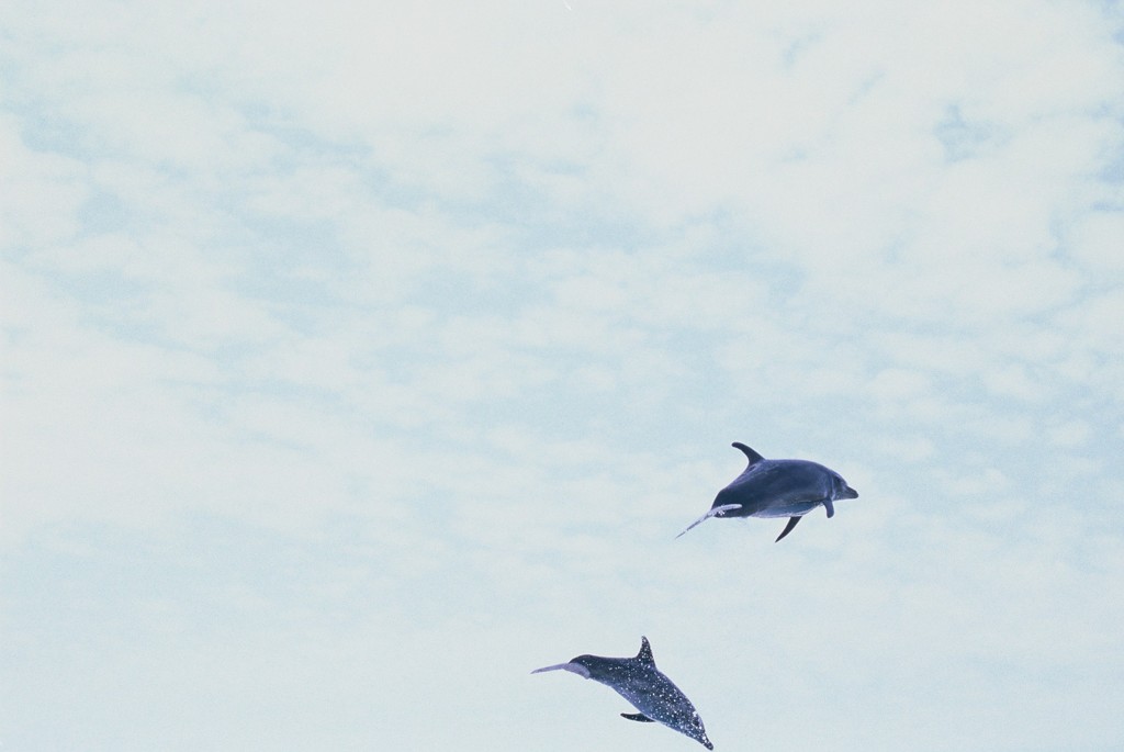 Freedom