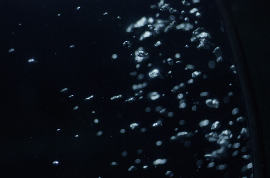 Our World～誕生～