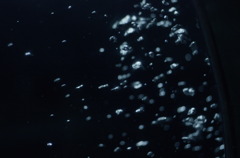 Our World～誕生～