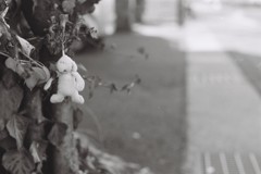 いつか、きっと
