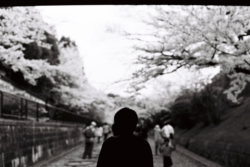 白と黒の風景