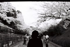 白と黒の風景