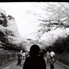 白と黒の風景