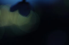 春夜