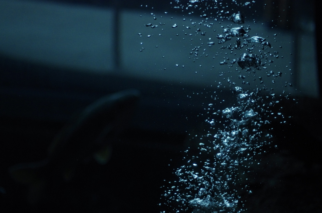 Our World～共存～