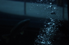 Our World～共存～