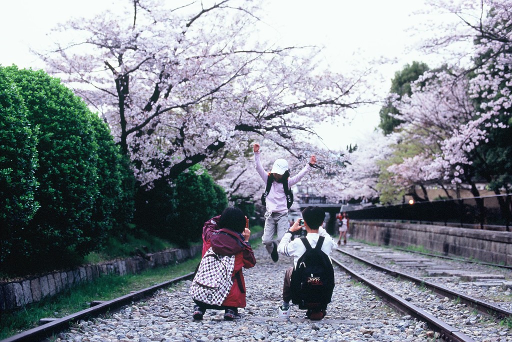 Velvia × 桜 