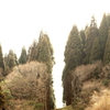 開かれた道