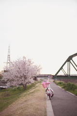 桜色