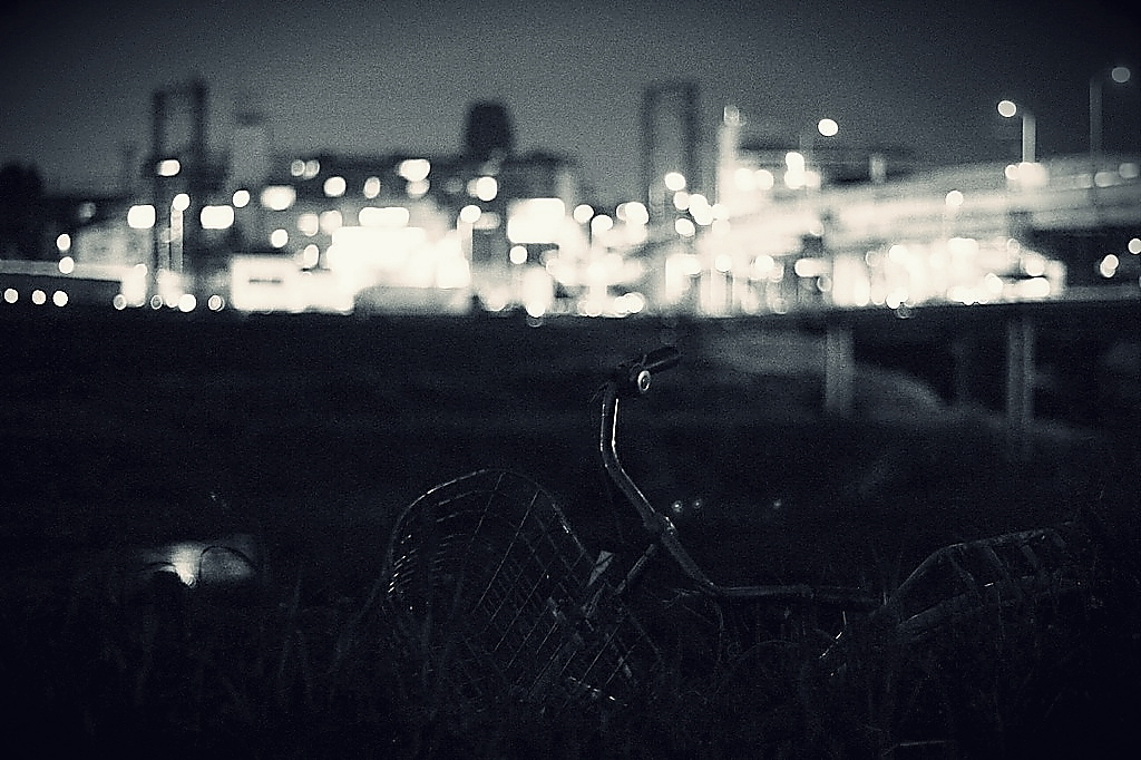 夜光虫　＃１５