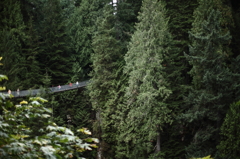 CAPILANO