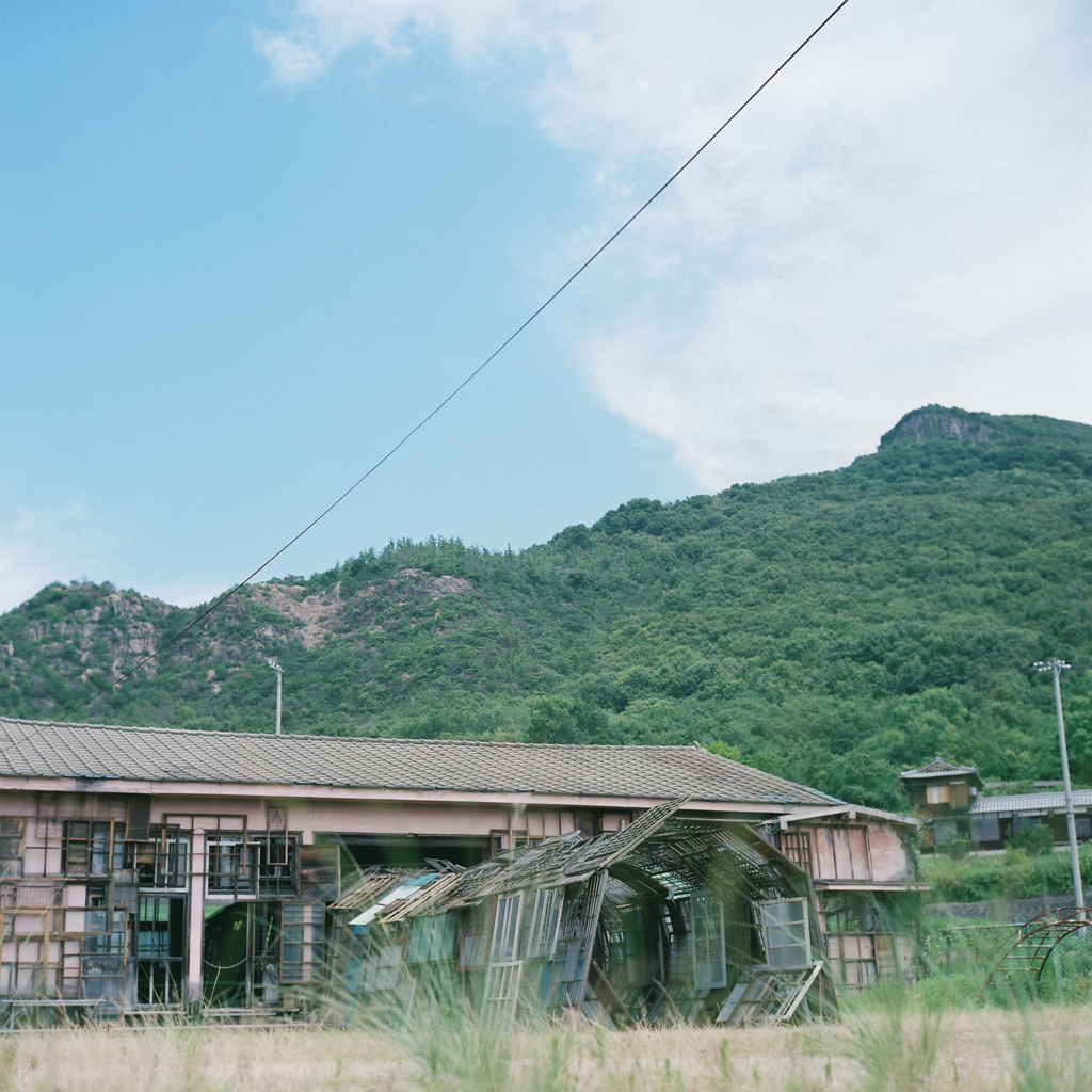 この島で