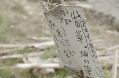 島の生活　＃14