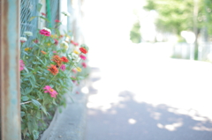 白とびしてもいいのです。