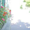 白とびしてもいいのです。