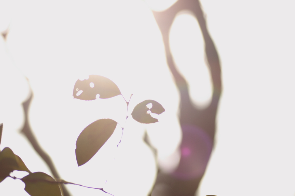 いま、君は