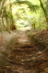 回
