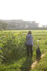 写真家
