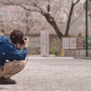 桜が舞うとき