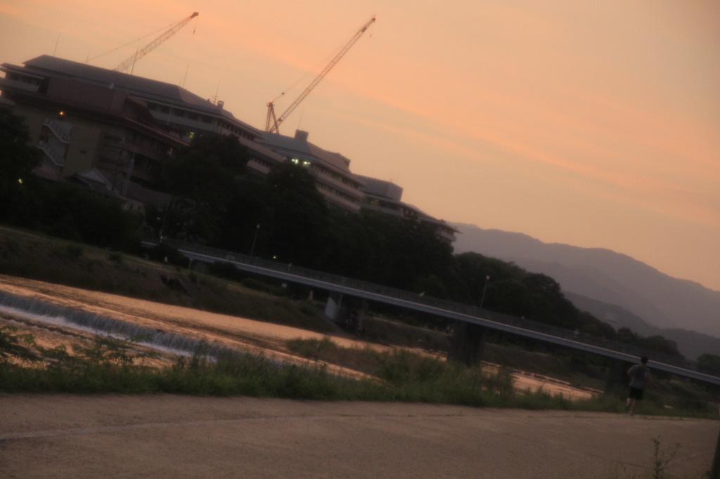 いつもの川沿い