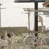 島の生活　＃7