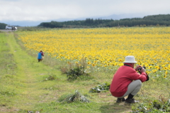 PHOTOHITO