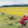 PHOTOHITO