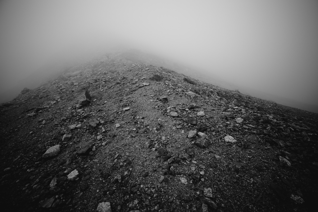 tree line area.