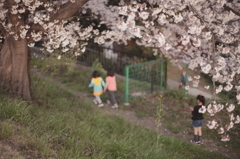 来年もまたこの場所で