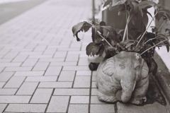 春、街では ＃１