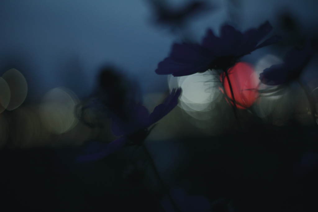 秋夜