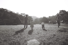 家族の風景