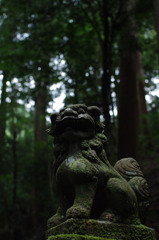 狛