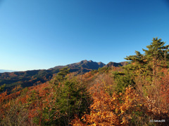 山頂から見る紅葉