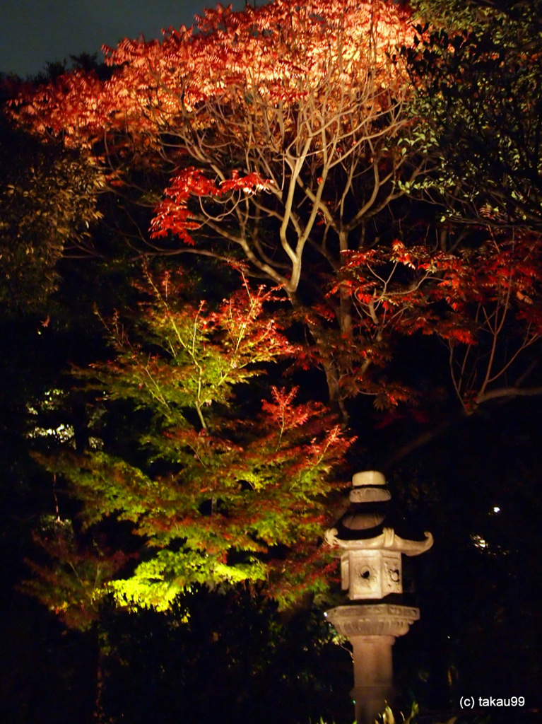 石灯籠と紅葉