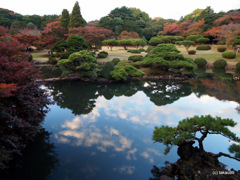 日本庭園の池に映る青い空