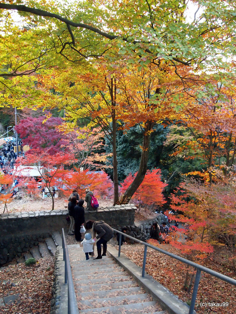 高尾山展望台付近の紅葉