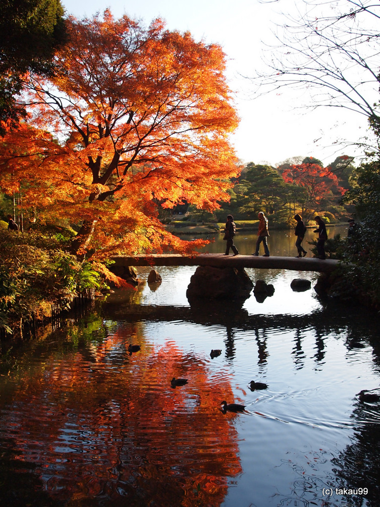 紅葉の橋