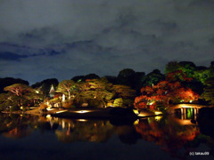 日本庭園のライトアップ
