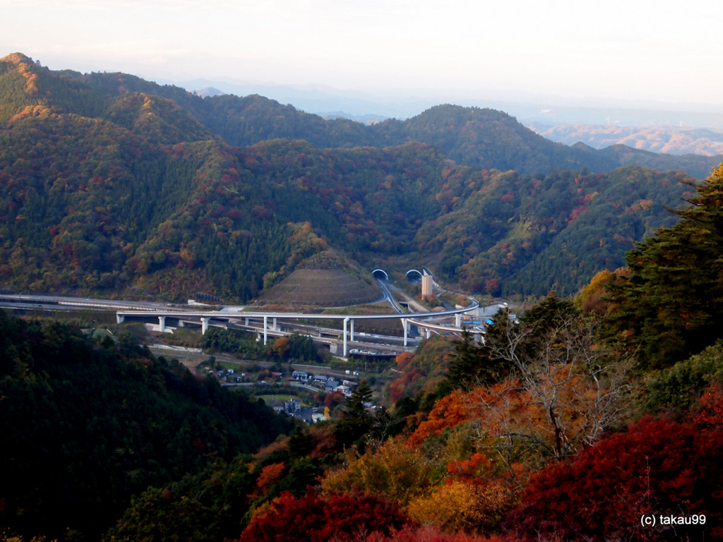 紅葉の眺め