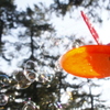 prism