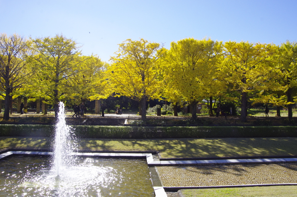 yellow air
